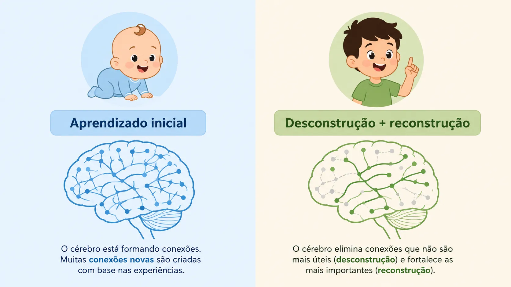 Diferença neurológica bebê vs criança